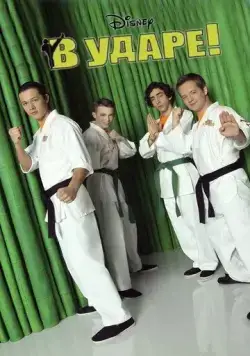 В ударе / Kickin' It (2011) cериал скачать через торрент в хорошем качестве