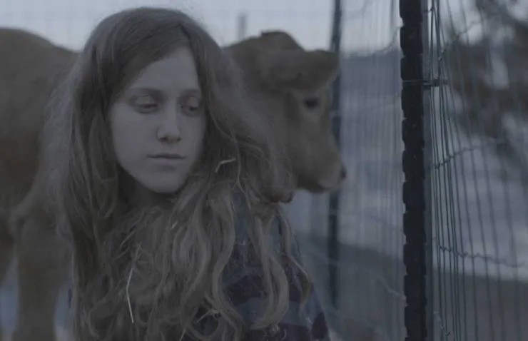 Красная корова (2018) через торрент скачать Красная корова (2018) фильм через торрент скачать