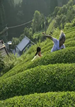 Траурный лес (2007) через торрент скачать Траурный лес (2007) фильм через торрент скачать