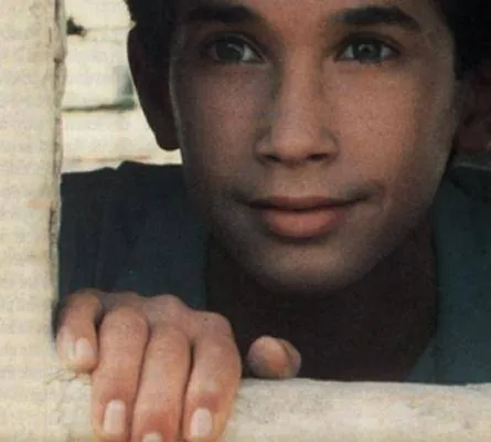 Мальчик на крыше (1990) через торрент бесплатно Мальчик на крыше (1990) фильм через торрент бесплатно