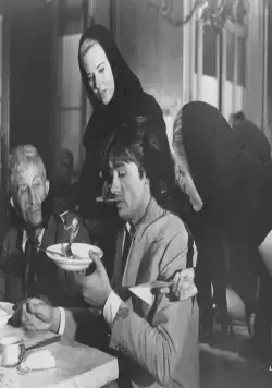 Хищники (1964) через торрент скачать Хищники (1964) фильм через торрент скачать