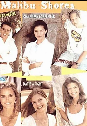 Побережье Малибу / Malibu Shores (1996) cериал скачать через торрент в хорошем качестве