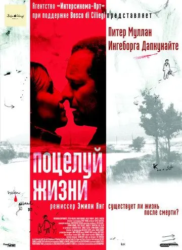Поцелуй жизни / Kiss of Life (2003) фильм скачать через торрент в хорошем качестве