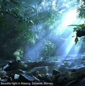 Букашки! 3D (2003) через торрент скачать Букашки! 3D (2003) фильм через торрент скачать