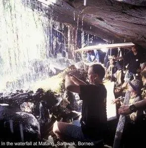 Букашки! 3D (2003) в хорошем качестве через торрент Букашки! 3D (2003) фильм в хорошем качестве через торрент