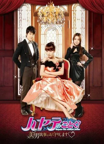 Хаятэ, боевой дворецкий / Xuan feng guan jia (2011) cериал скачать через торрент в хорошем качестве