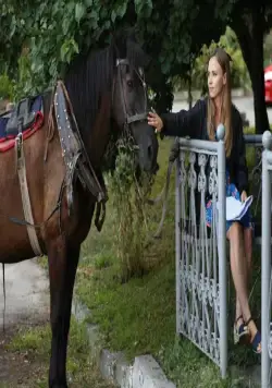 Тайна Марии (2019) в хорошем качестве через торрент Тайна Марии (2019) сериал в хорошем качестве через торрент