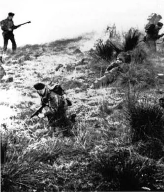 Красный берет (1953) через торрент бесплатно Красный берет (1953) фильм через торрент бесплатно