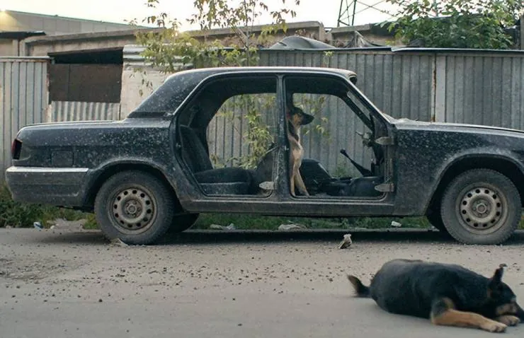 Космические собаки (2019) в хорошем качестве через торрент Космические собаки (2019) фильм в хорошем качестве через торрент