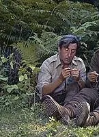 Куда же делась седьмая рота? (1973) в хорошем качестве через торрент Куда же делась седьмая рота? (1973) фильм в хорошем качестве через торрент