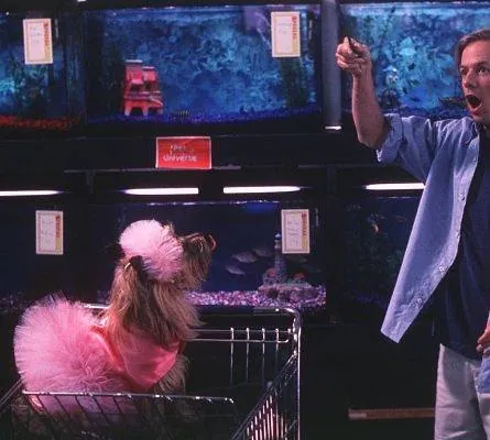 Счастливая пропажа (1999) через торрент бесплатно Счастливая пропажа (1999) фильм через торрент бесплатно