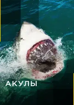 Акулы / Sharks (2017) cериал скачать через торрент в хорошем качестве