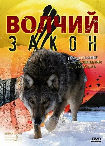 Волчий закон (2008) фильм скачать через торрент в хорошем качестве