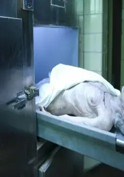 Похороненная (2009) в хорошем качестве через торрент Похороненная (2009) фильм в хорошем качестве через торрент