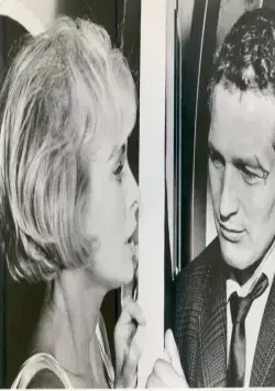 Харпер (1966) в хорошем качестве через торрент Харпер (1966) фильм в хорошем качестве через торрент