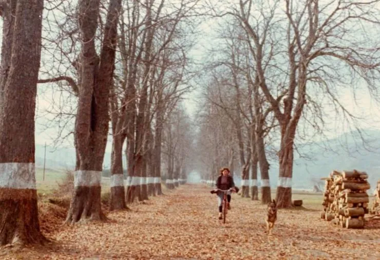 Юг (1983) через торрент скачать Юг (1983) фильм через торрент скачать