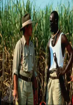 Проклятие 3: Кровавое жертвоприношение (1991) через торрент скачать Проклятие 3: Кровавое жертвоприношение (1991) фильм через торрент скачать