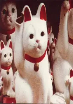 Без солнца (1982) через торрент бесплатно Без солнца (1982) фильм через торрент бесплатно