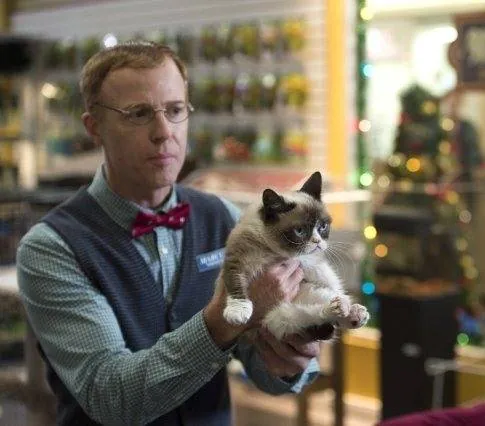 Худшее Рождество Сердитой кошки (2014) в хорошем качестве через торрент Худшее Рождество Сердитой кошки (2014) фильм в хорошем качестве через торрент