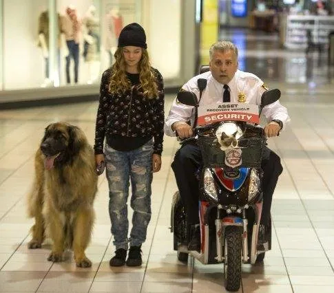 Худшее Рождество Сердитой кошки (2014) через торрент бесплатно Худшее Рождество Сердитой кошки (2014) фильм через торрент бесплатно