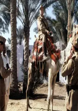 Безумец на войне (1985) через торрент бесплатно Безумец на войне (1985) фильм через торрент бесплатно