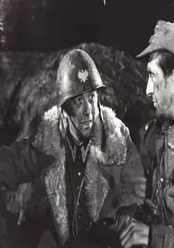 Красная рябина (1969) через торрент скачать Красная рябина (1969) фильм через торрент скачать