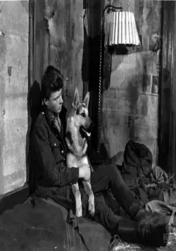 Крест за отвагу (1958) через торрент бесплатно Крест за отвагу (1958) фильм через торрент бесплатно