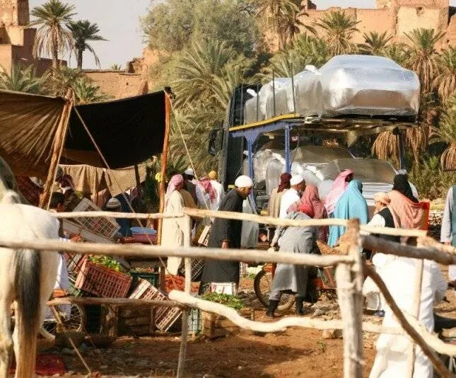 Итальянцы (2009) в хорошем качестве через торрент Итальянцы (2009) фильм в хорошем качестве через торрент