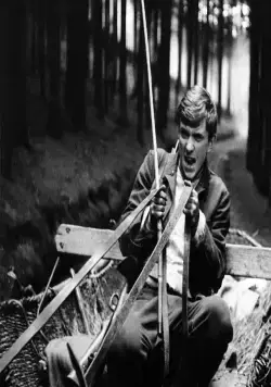 Повозка в Вену (1966) в хорошем качестве через торрент Повозка в Вену (1966) фильм в хорошем качестве через торрент