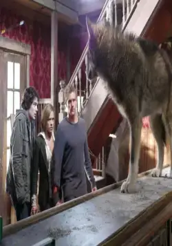 Город волков (2011) через торрент скачать Город волков (2011) фильм через торрент скачать