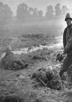 Сердце друга (1966) через торрент скачать Сердце друга (1966) фильм через торрент скачать