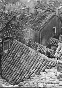 Тайное вторжение (1964) в хорошем качестве через торрент Тайное вторжение (1964) фильм в хорошем качестве через торрент