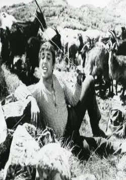 Серафино (1968) через торрент скачать Серафино (1968) фильм через торрент скачать