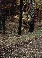 Мнения сторон (2001) через торрент бесплатно Мнения сторон (2001) фильм через торрент бесплатно