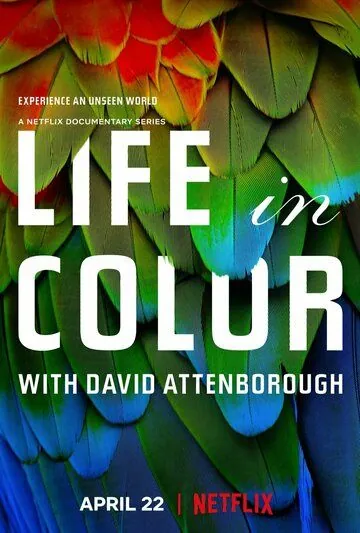 Жизнь в цвете с Дэвидом Аттенборо / Life in Colour (2021) cериал скачать через торрент в хорошем качестве