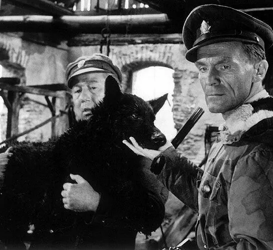 Король Шумавы (1959) через торрент скачать Король Шумавы (1959) фильм через торрент скачать