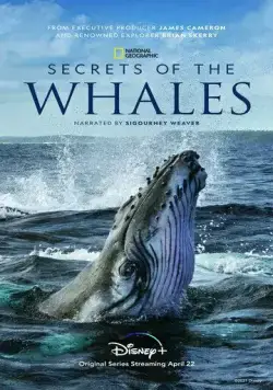 Тайны китов / Secrets of the Whales (2021) cериал скачать через торрент в хорошем качестве