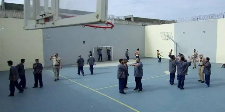 Ночная прогулка (2019) в хорошем качестве через торрент Ночная прогулка (2019) фильм в хорошем качестве через торрент