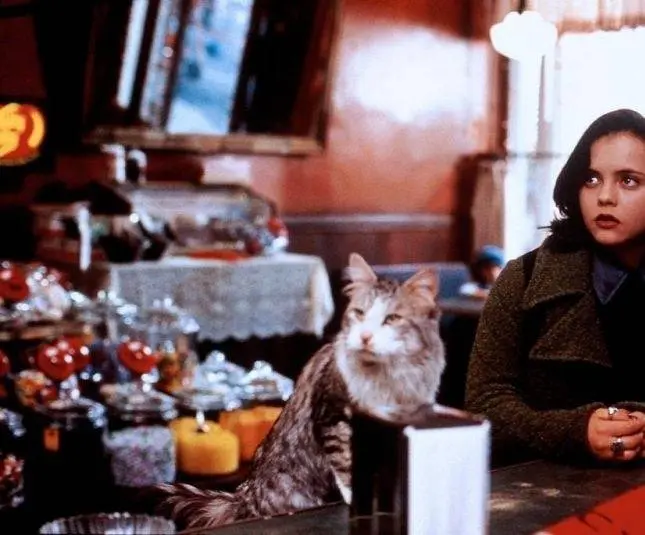 Эта дикая кошка (1997) в хорошем качестве через торрент Эта дикая кошка (1997) фильм в хорошем качестве через торрент