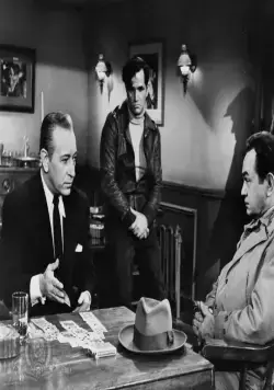 Пуля для Джоуи (1955) через торрент скачать Пуля для Джоуи (1955) фильм через торрент скачать