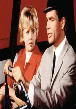 Эта дикая кошка (1965) через торрент скачать Эта дикая кошка (1965) фильм через торрент скачать