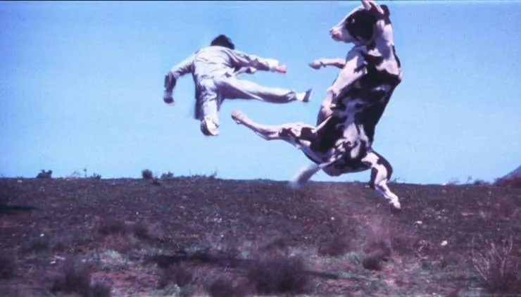 Кунг По: Нарвись на кулак (2002) в хорошем качестве через торрент Кунг По: Нарвись на кулак (2002) фильм в хорошем качестве через торрент