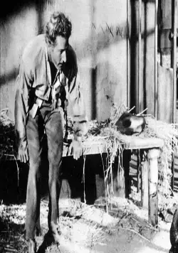 Ревизор (1949) через торрент скачать Ревизор (1949) фильм через торрент скачать