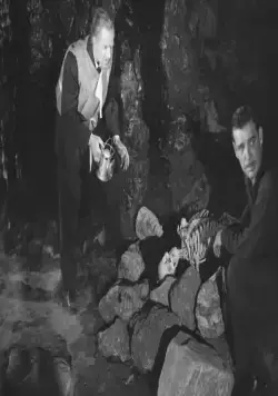 Дом Дракулы (1945) через торрент скачать Дом Дракулы (1945) фильм через торрент скачать