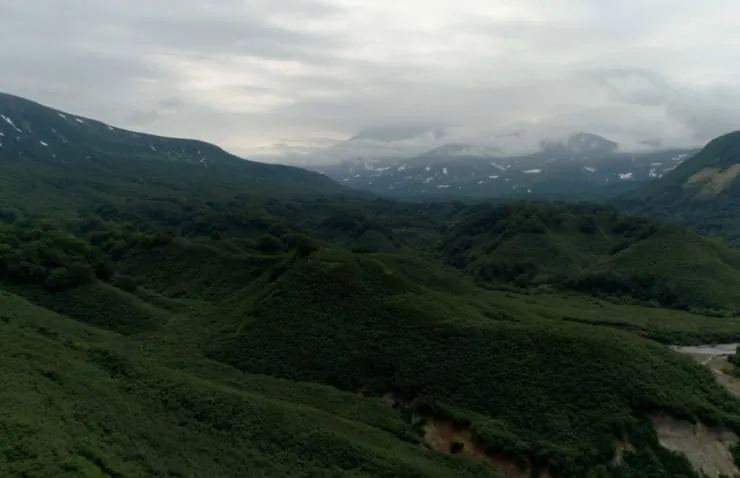 Медведи Камчатки. Начало жизни (2018) через торрент скачать Медведи Камчатки. Начало жизни (2018) фильм через торрент скачать