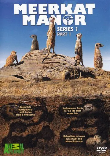 Поместье сурикат / Meerkat Manor (2005) cериал скачать через торрент в хорошем качестве