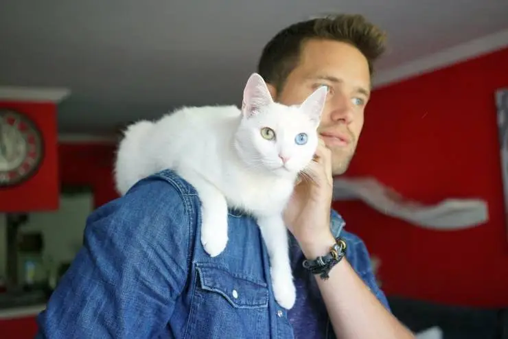 Котики (2022) в хорошем качестве через торрент Котики (2022) фильм в хорошем качестве через торрент