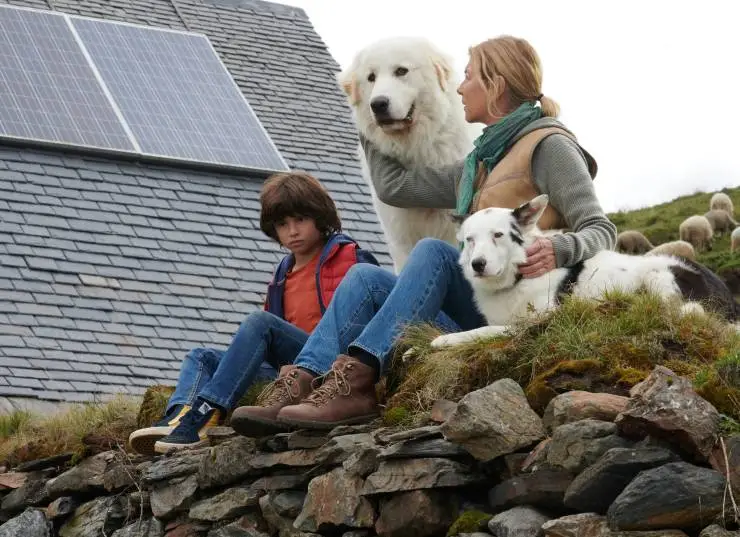 Белль и Себастьян: Новое поколение (2022) через торрент скачать Белль и Себастьян: Новое поколение (2022) фильм через торрент скачать