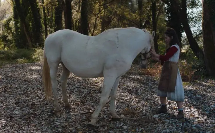 Italian Best Shorts 5: Жизнь как чудо (2023) через торрент бесплатно Italian Best Shorts 5: Жизнь как чудо (2023) фильм через торрент бесплатно