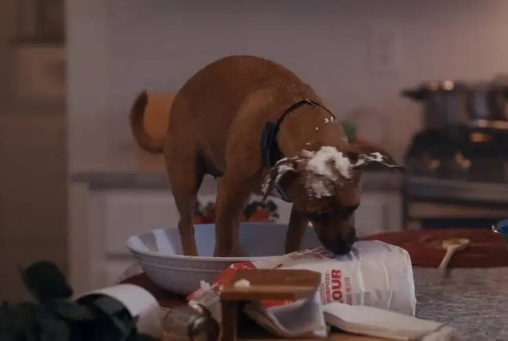 Хвостатые пришельцы (2023) в хорошем качестве через торрент Хвостатые пришельцы (2023) фильм в хорошем качестве через торрент